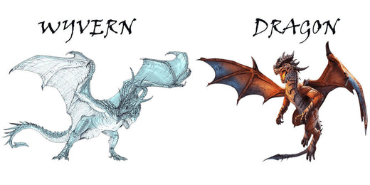 Wyverns vs. Dragons