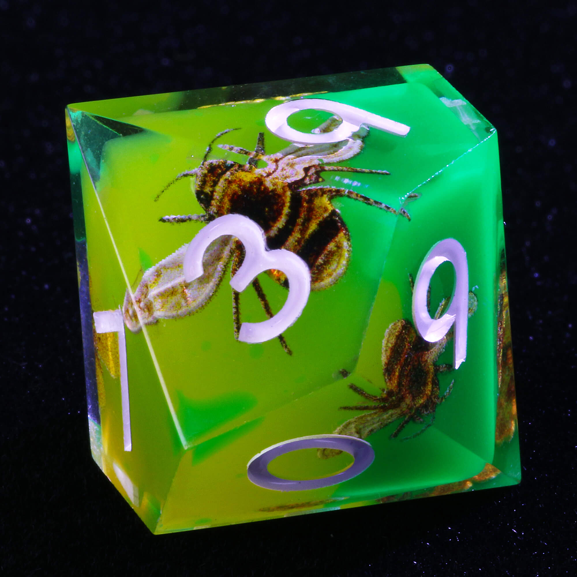 7 Piece Resin Polyhedral Dice Set D&D Bee Green - Dice of Dragons